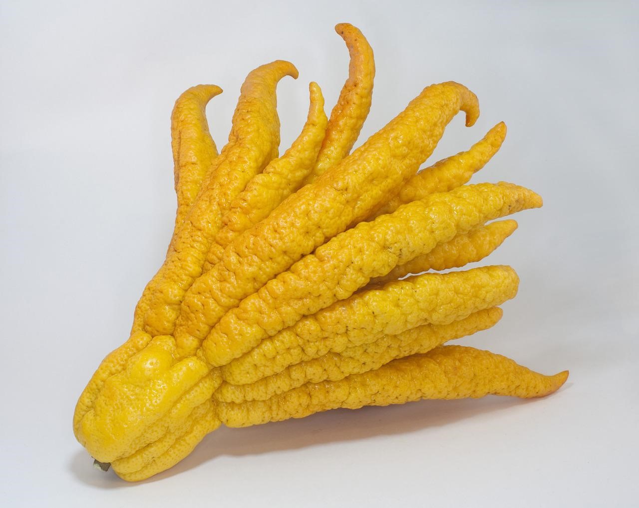 伯爵香料	Bergamot Flavour