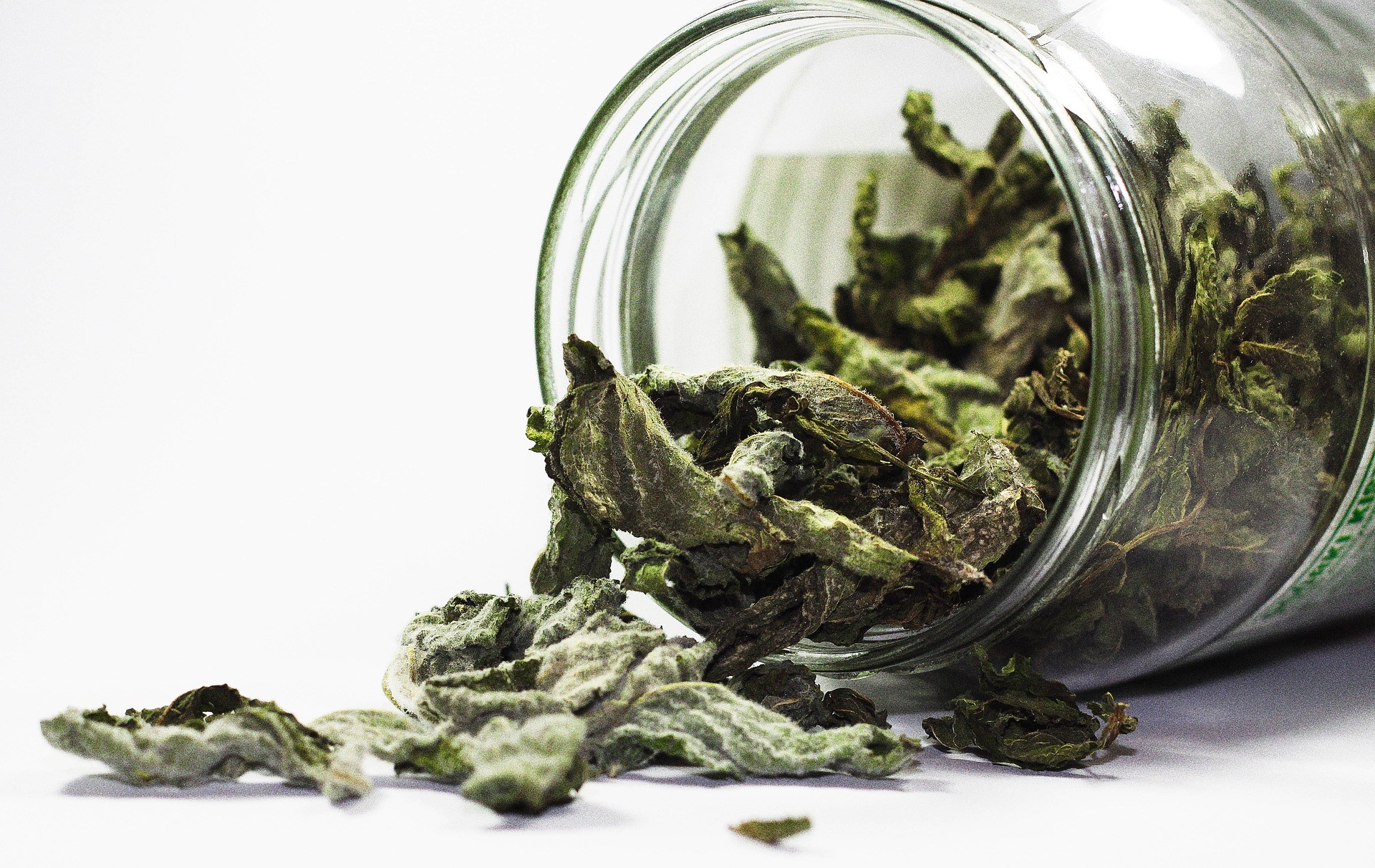 烏龍茶香料	Oolong Tea Flavour