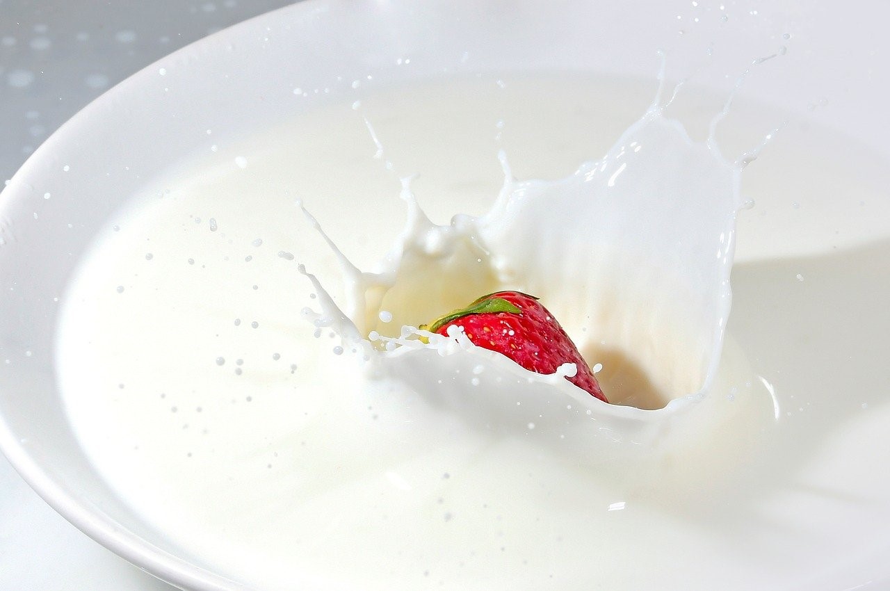 鮮乳香料	Milk Flavour