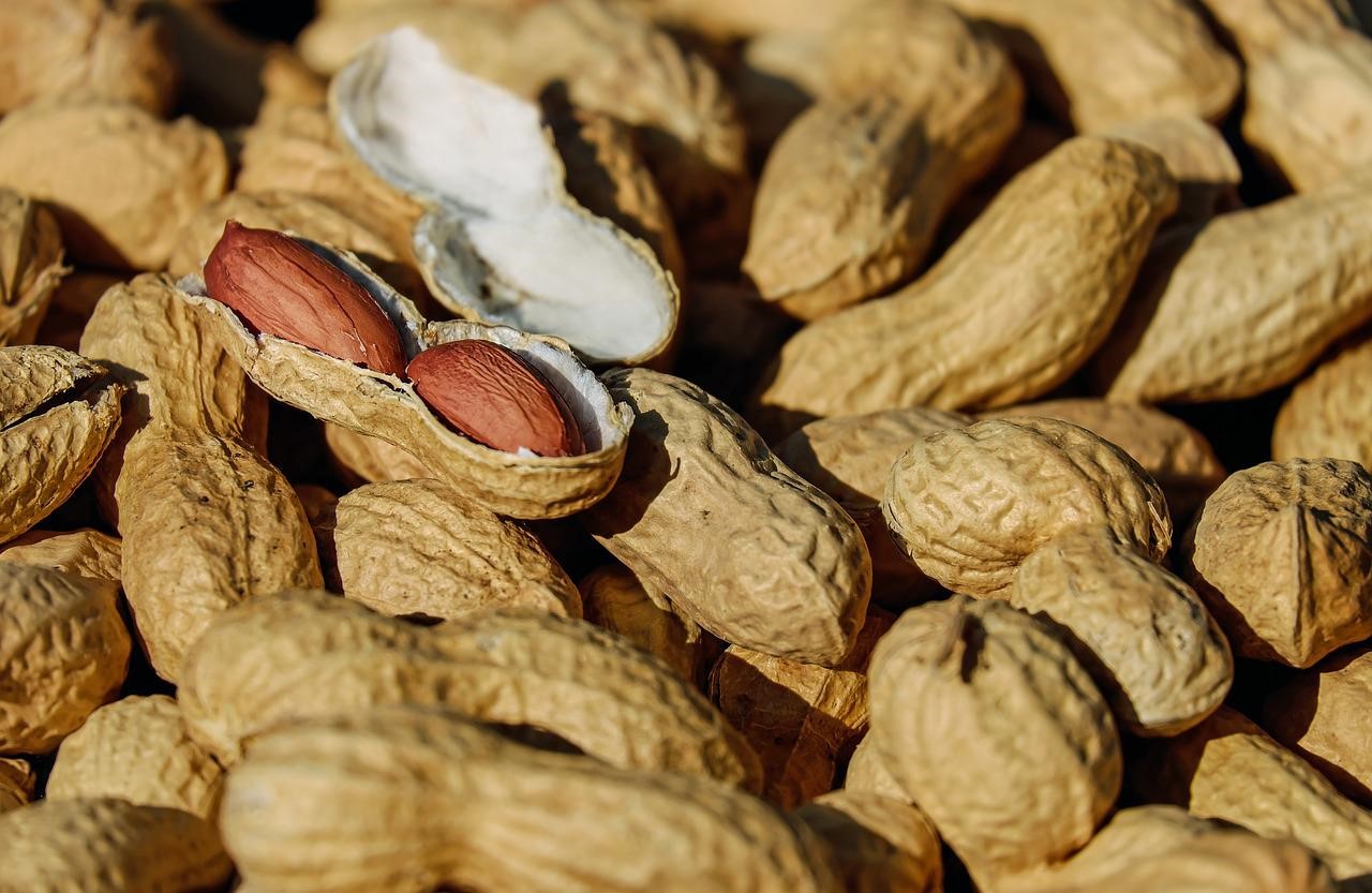 花生香料	Peanut Flavour