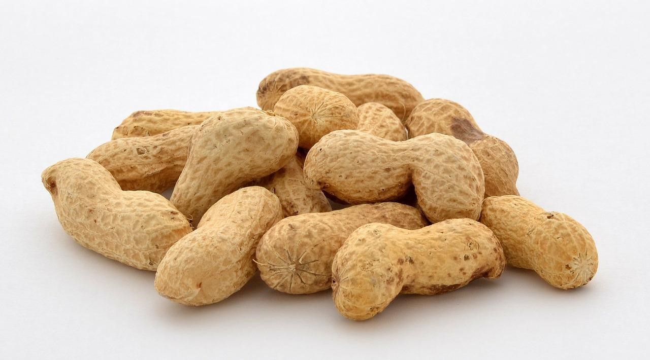 花生香料	Peanut Flavour