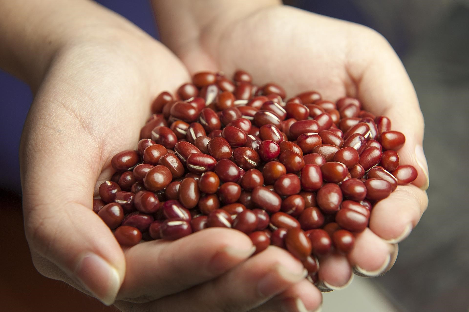 紅豆香料	Redbean Flavour