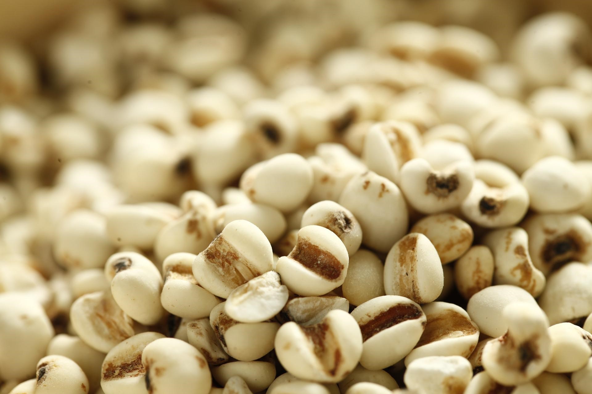薏仁香料	Huanren Flavour