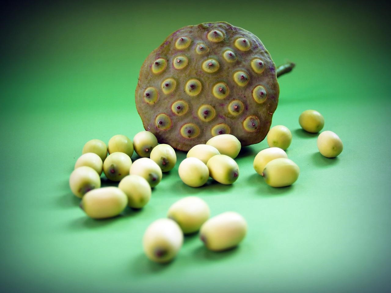 蓮子香料	Lotus Seeds Flavour