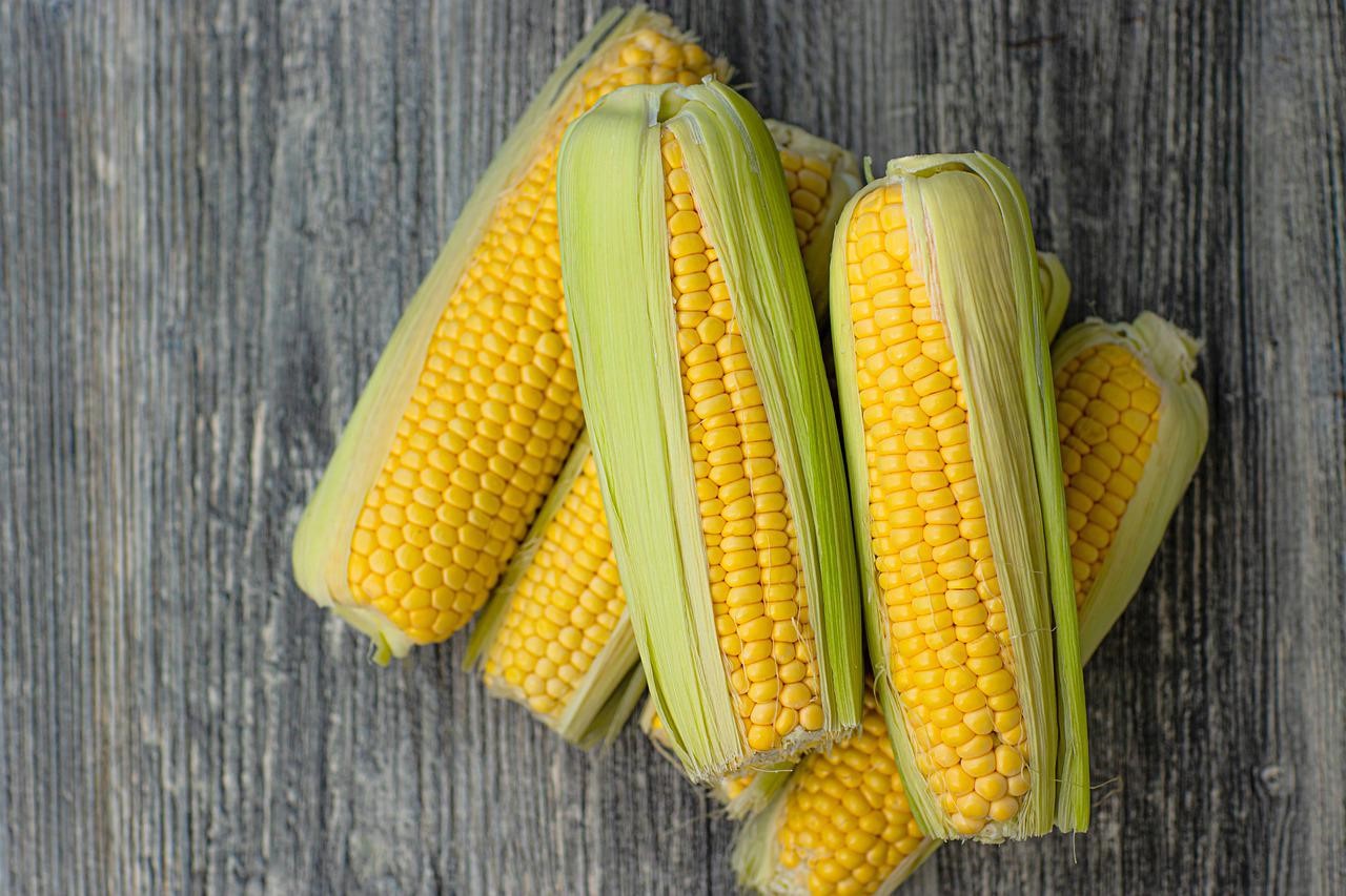 玉米香料	Corn  Flavor