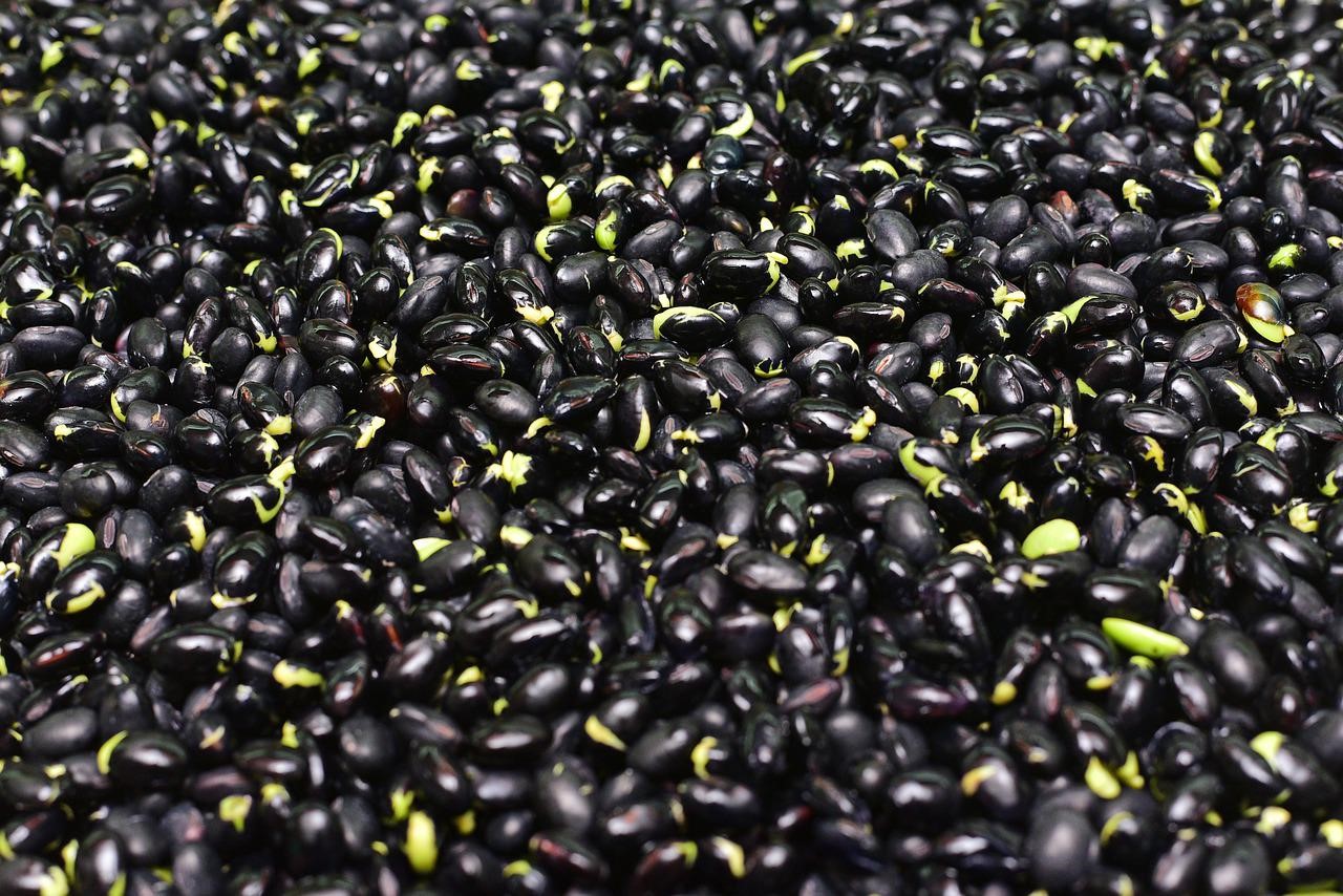 醬油香料	Soy Sauce Flavour