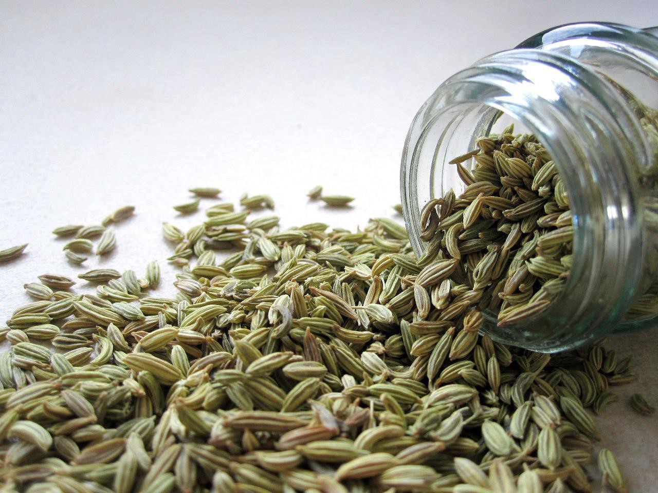 小茴香粉	Fennel powder