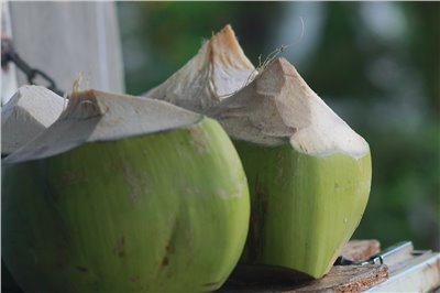 椰子水香料∞Coconut water Flavour
