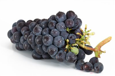 葡萄香料∞Grape Flavour
