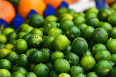 金桔香料∞Kumquat Flavour