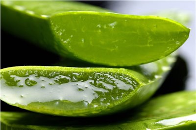 蘆薈香料∞Aloe Flavour