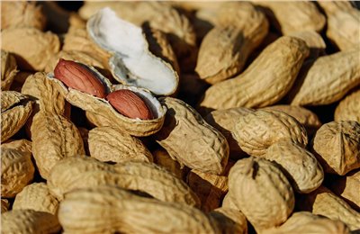 花生香料∞Peanut Flavour