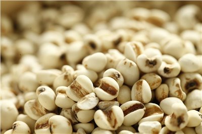 薏仁香料∞Huanren Flavour