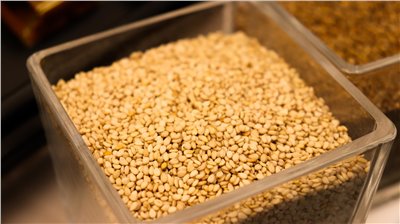 香油香料∞Sesame Oil Flavour