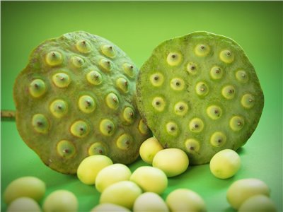 蓮子香料∞Lotus Seeds Flavour
