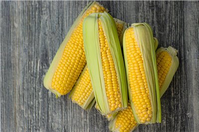 玉米香料∞Corn  Flavor
