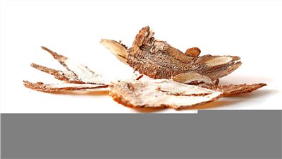 當歸香料∞Angelica Flavour