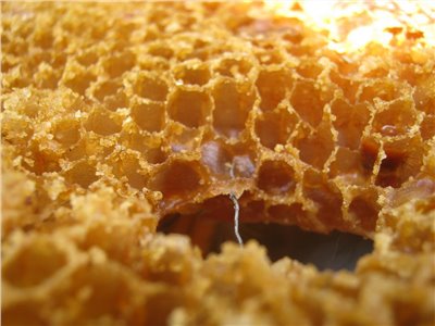 生龍眼蜜香料∞Honey Flavor