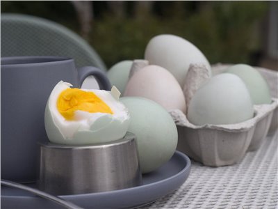 鹹蛋黃香料∞Salted egg yolk Flavour