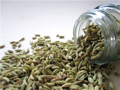 小茴香粉∞Fennel powder